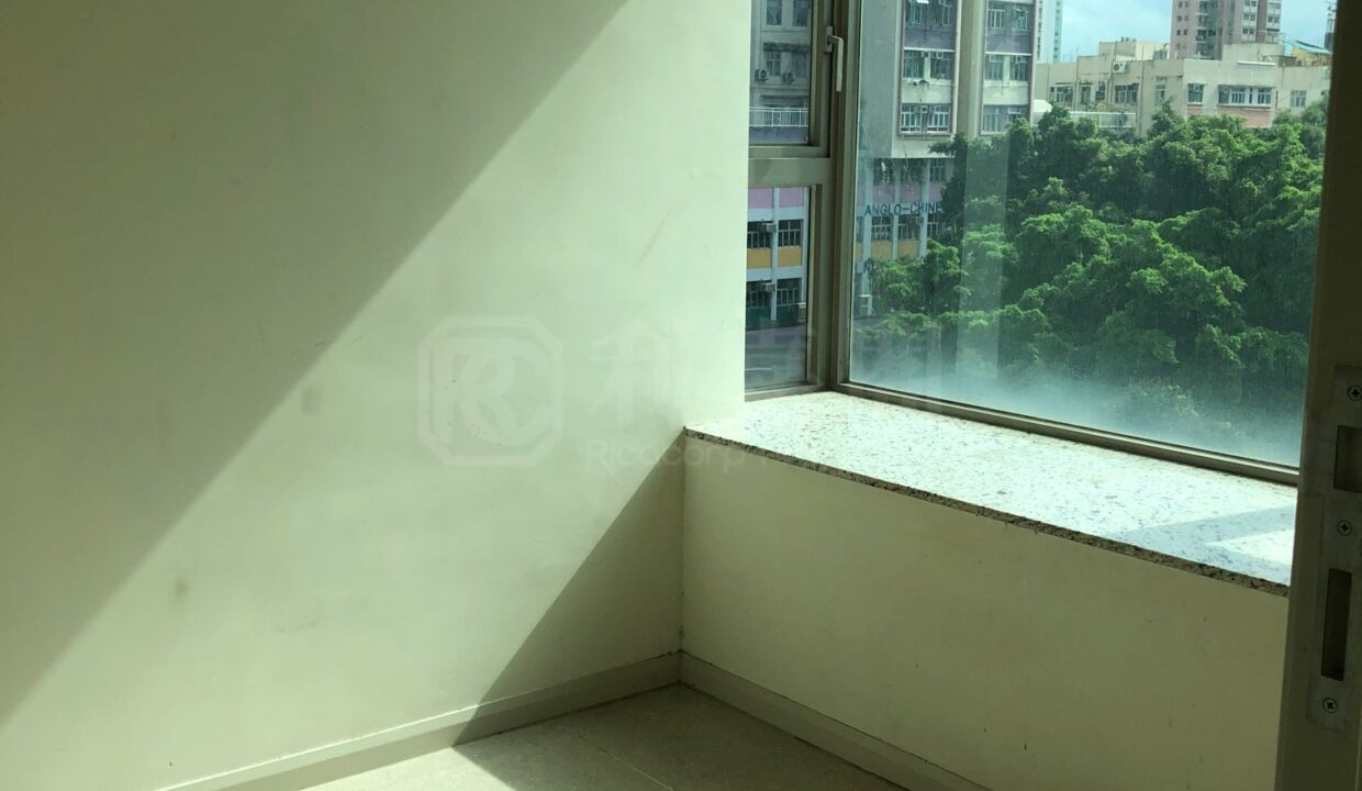 1686737162723