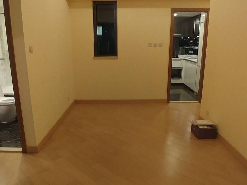 1731987646549