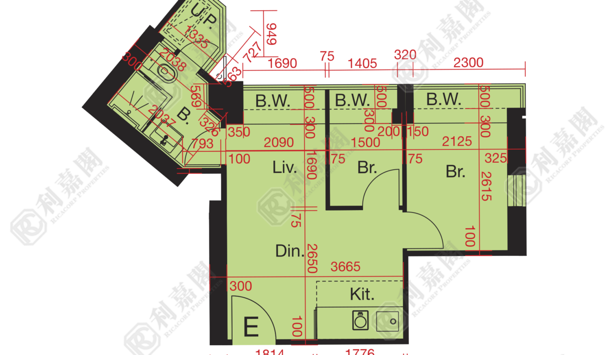 10745_2000_Ricacorp.png