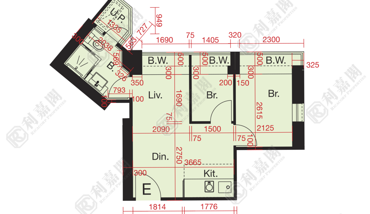 10840_2000_Ricacorp.png