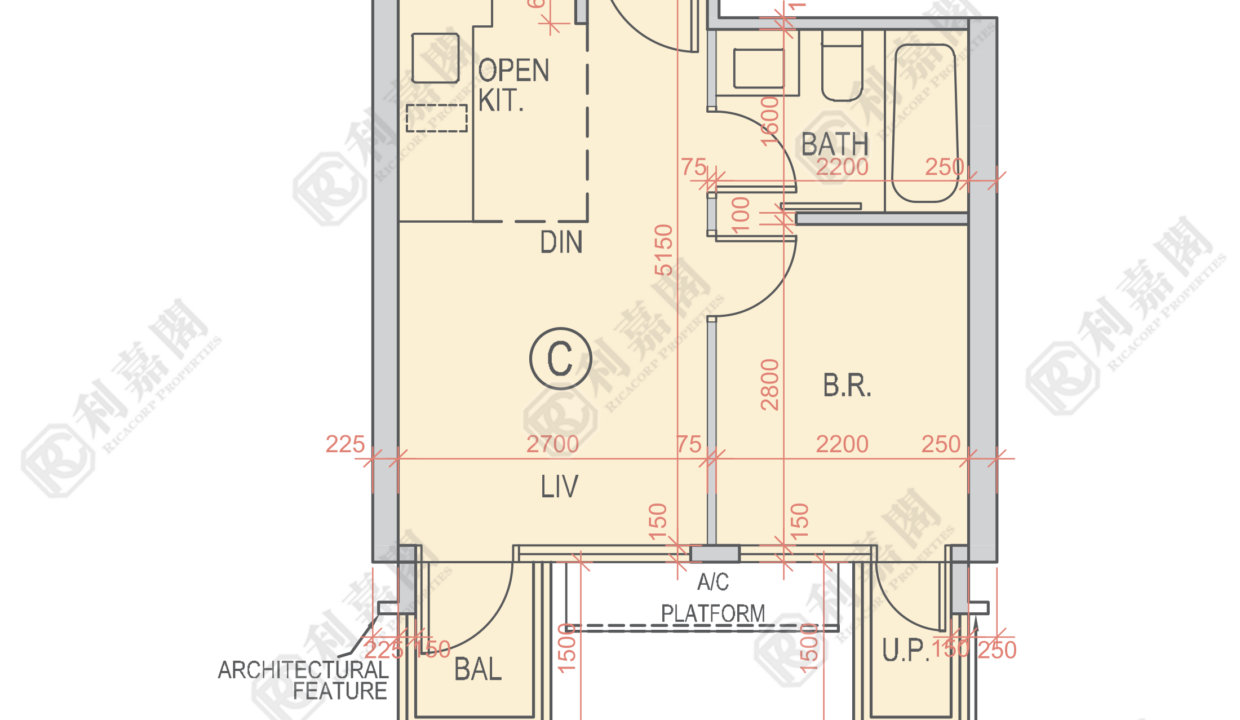 121327_2000_Ricacorp.png