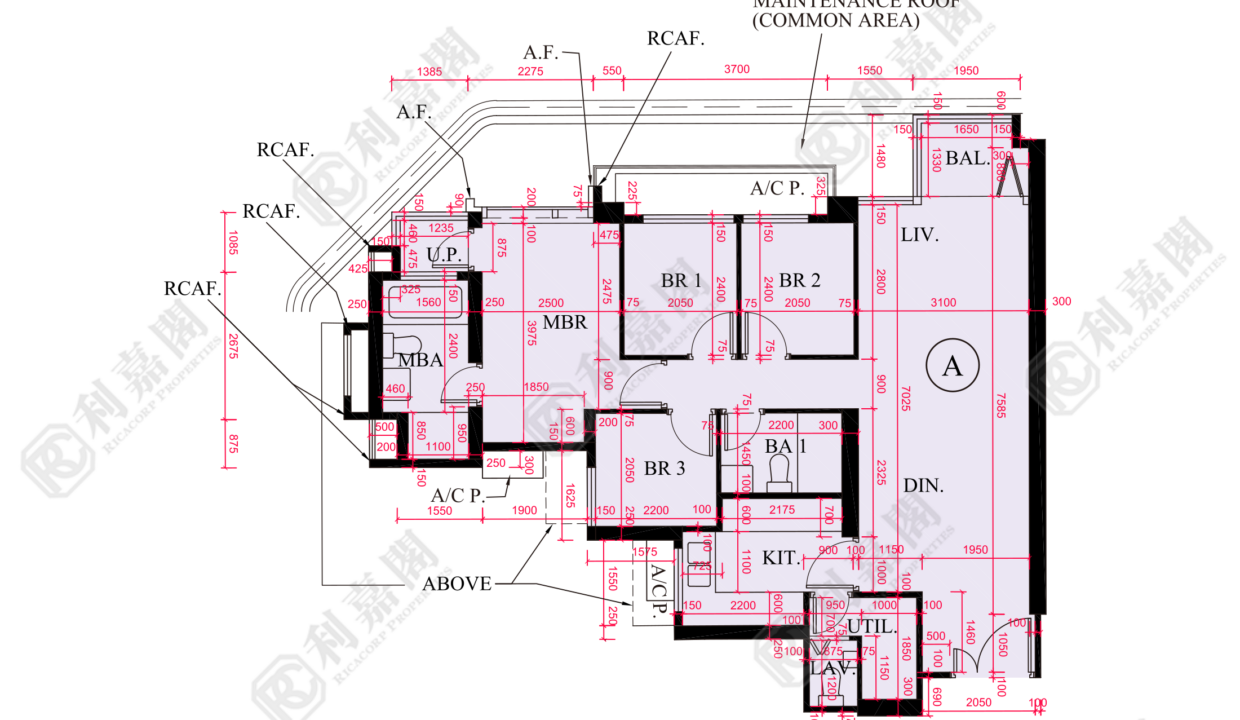 175052_2000_Ricacorp.png
