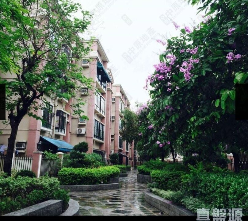 2e16cdf4-0bdd-40fb-8dd6-46a0f11a869c.jpeg