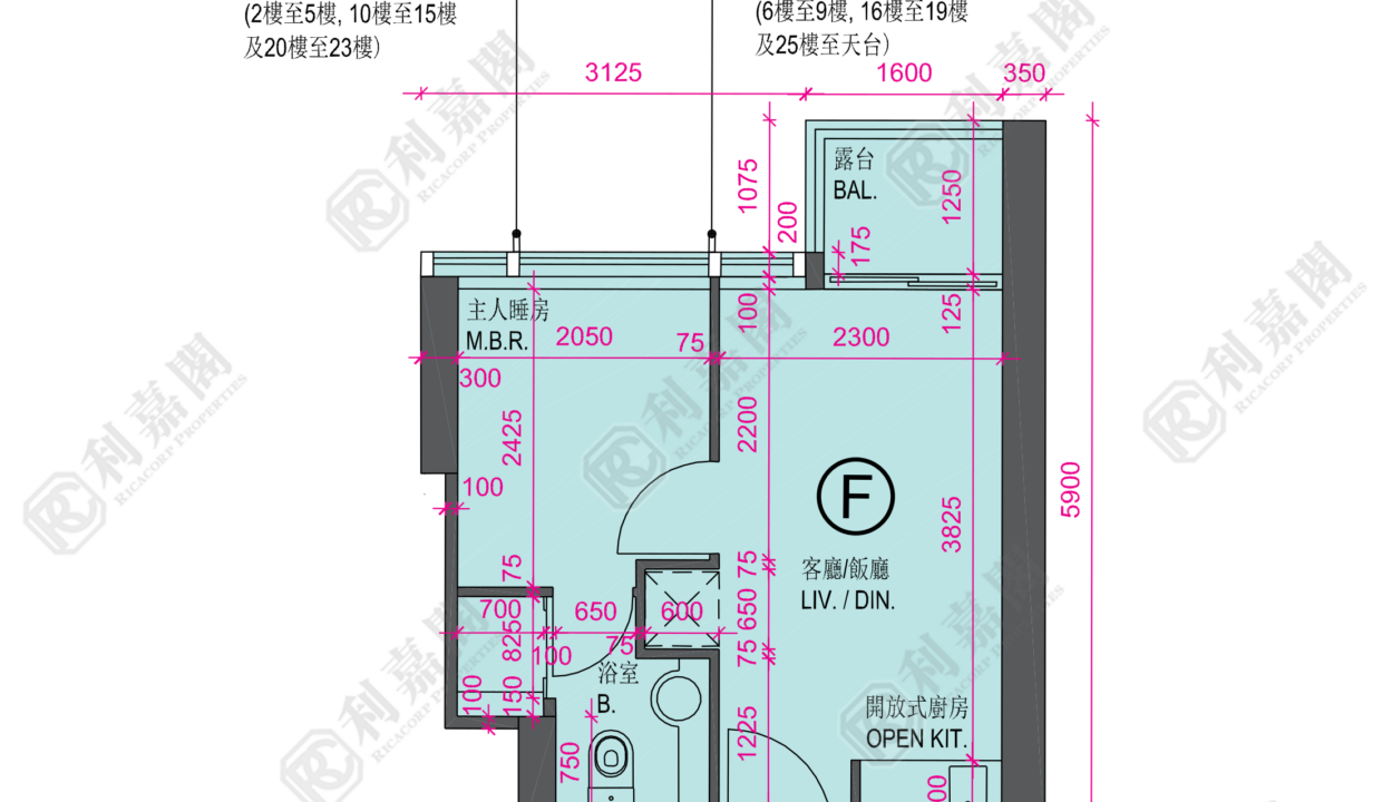 34130_2000_Ricacorp-1.png