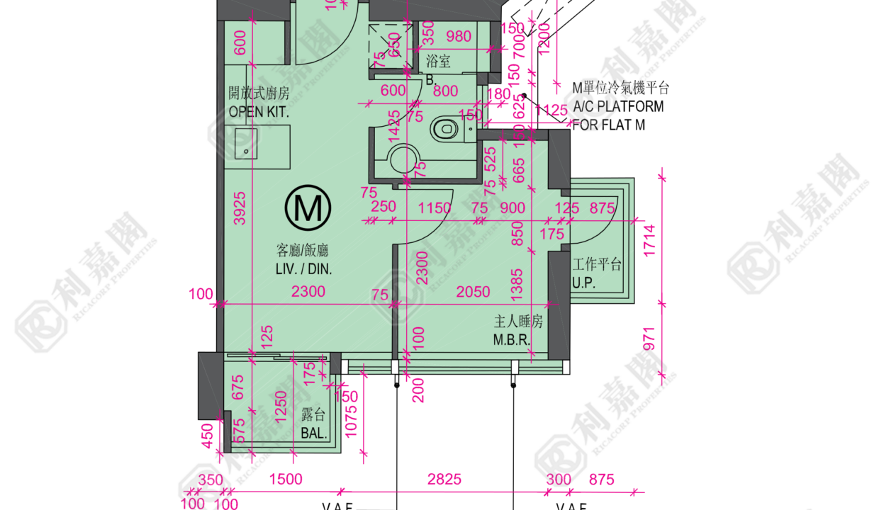 34131_2000_Ricacorp.png