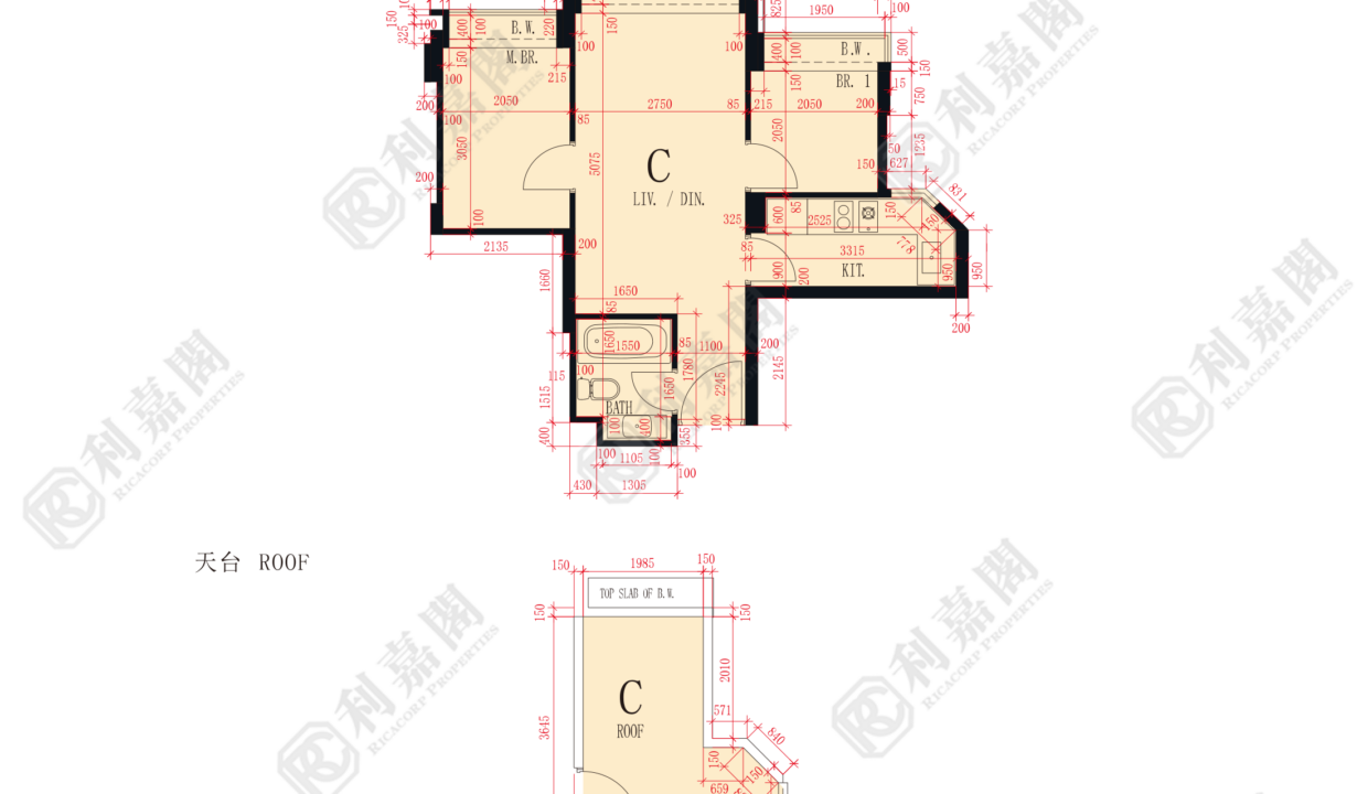 47606_2000_Ricacorp.png