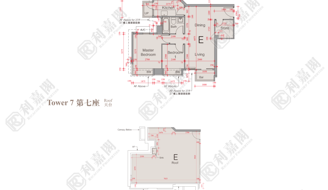 51513_2000_Ricacorp.png