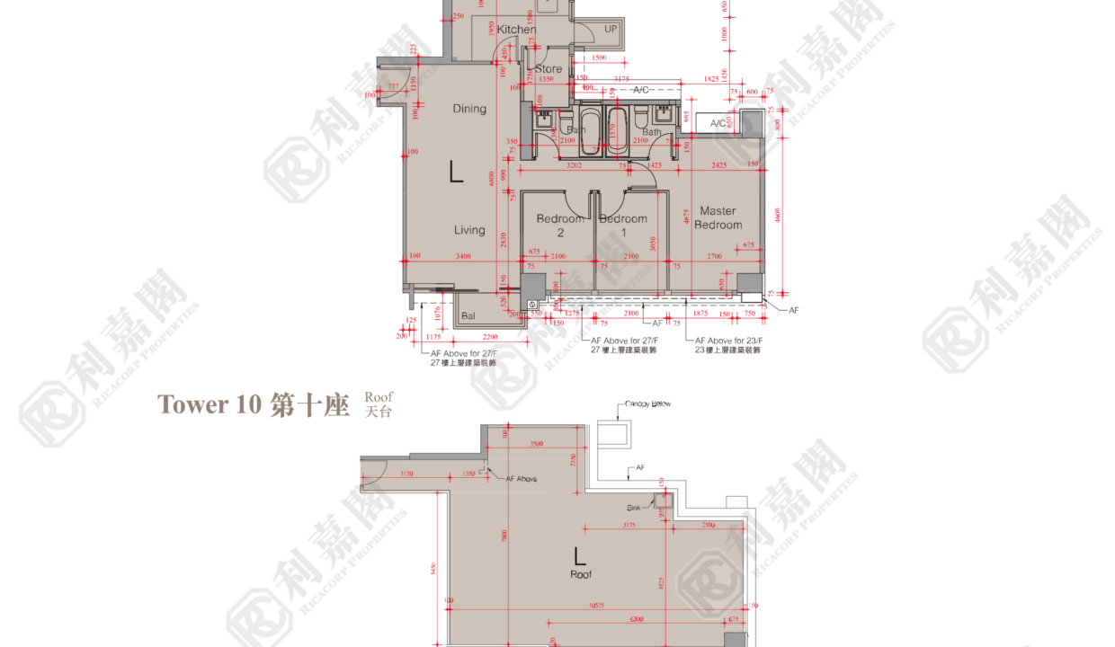 51587_2000_Ricacorp.png