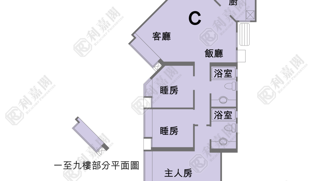 54982_2000_Ricacorp.png