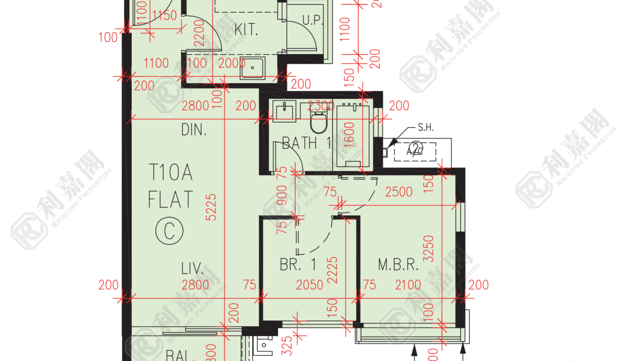 56867_2000_Ricacorp.png