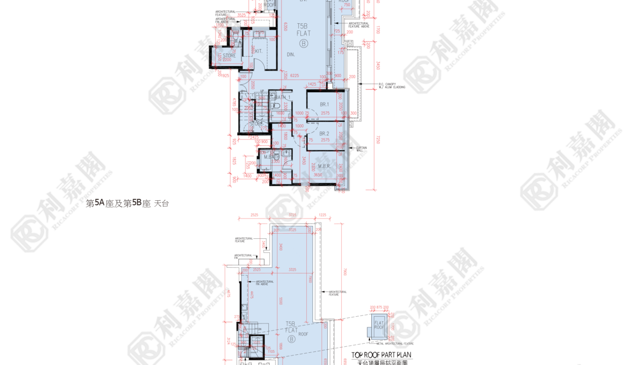 57431_2000_Ricacorp.png