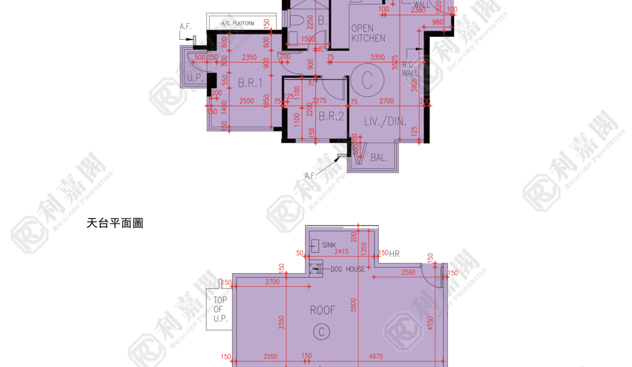 72985_2000_Ricacorp.png