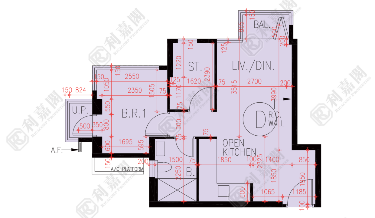73003_2000_Ricacorp.png