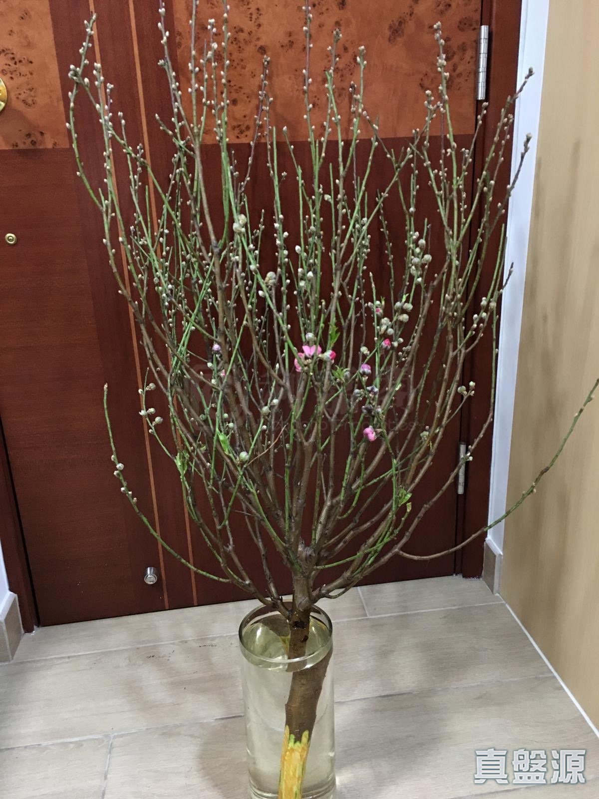 喜利大廈 - 元朗屋網 28YuenLong.com