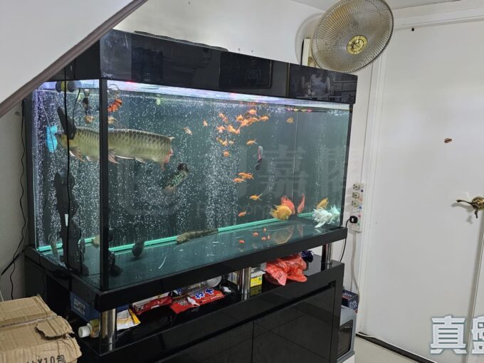 水蕉新村 202號 - 元朗屋網 28YuenLong.com