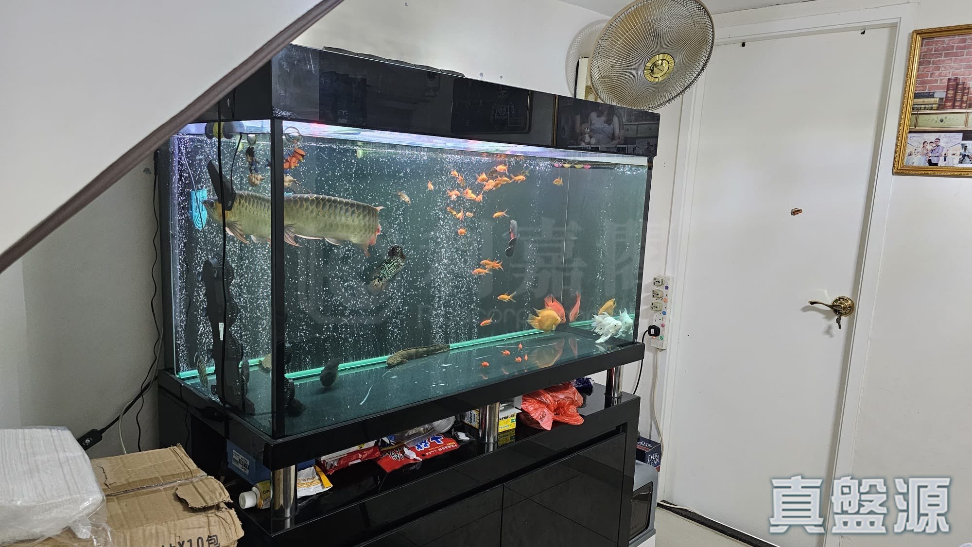 水蕉新村 202號 - 元朗屋網 28YuenLong.com
