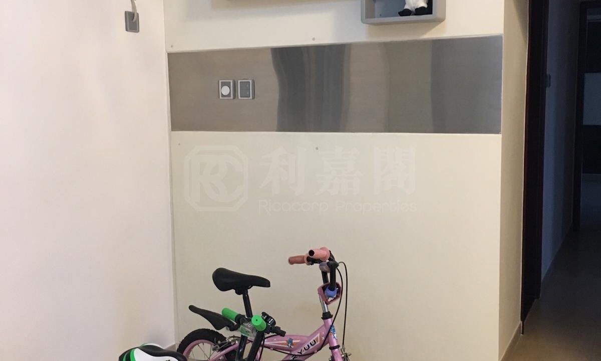 0c014949-7d88-468a-808d-c69c81d74c4c.jpeg