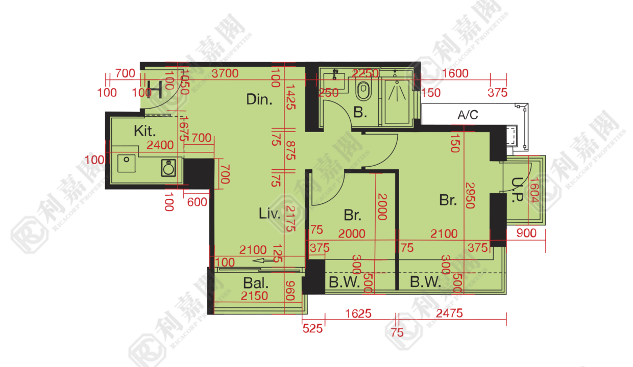 10558_2000_Ricacorp.png