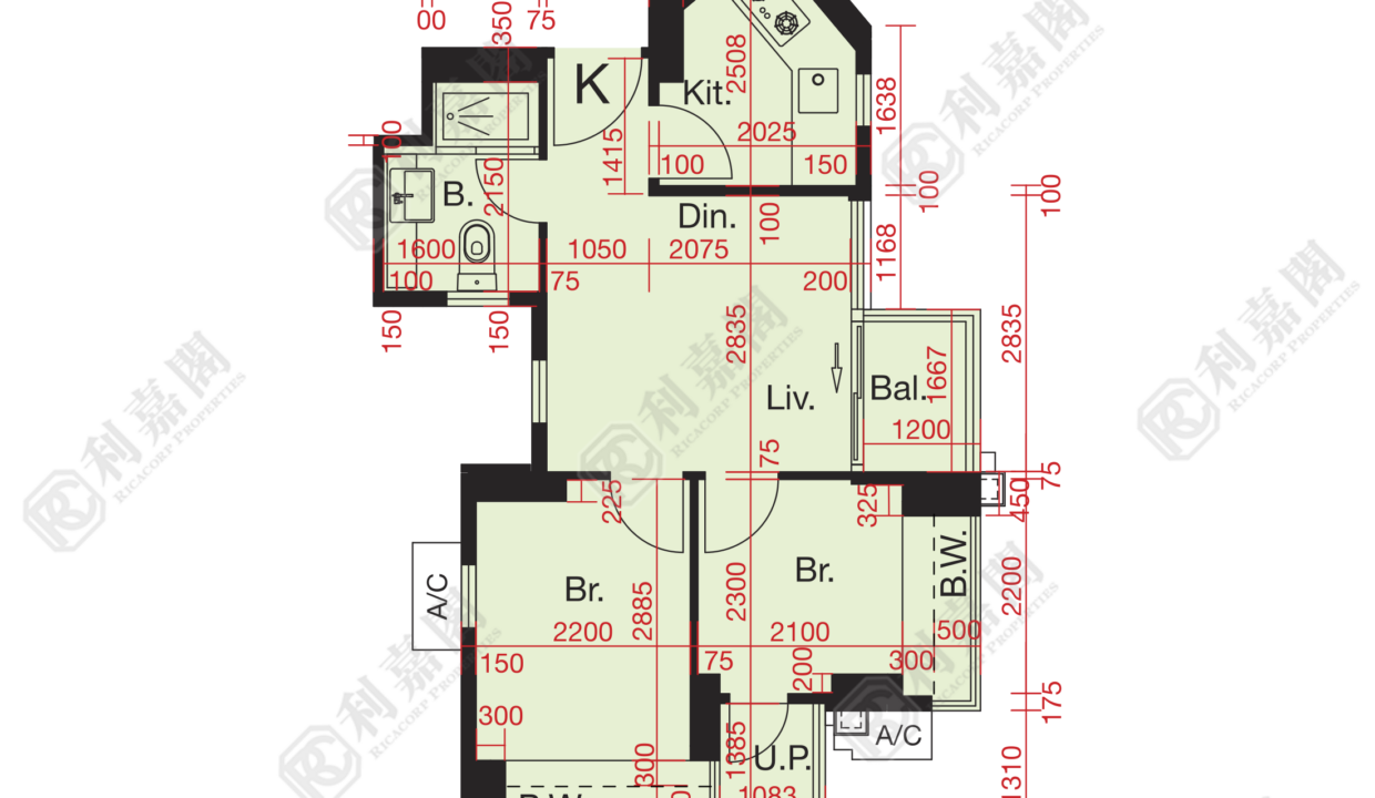 10688_2000_Ricacorp-1.png