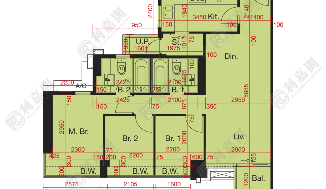 10759_2000_Ricacorp.png