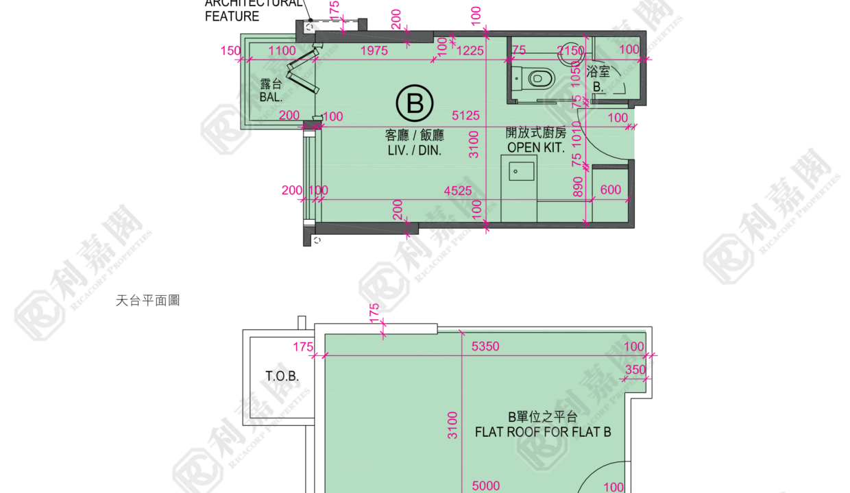 122355_2000_Ricacorp-1.png