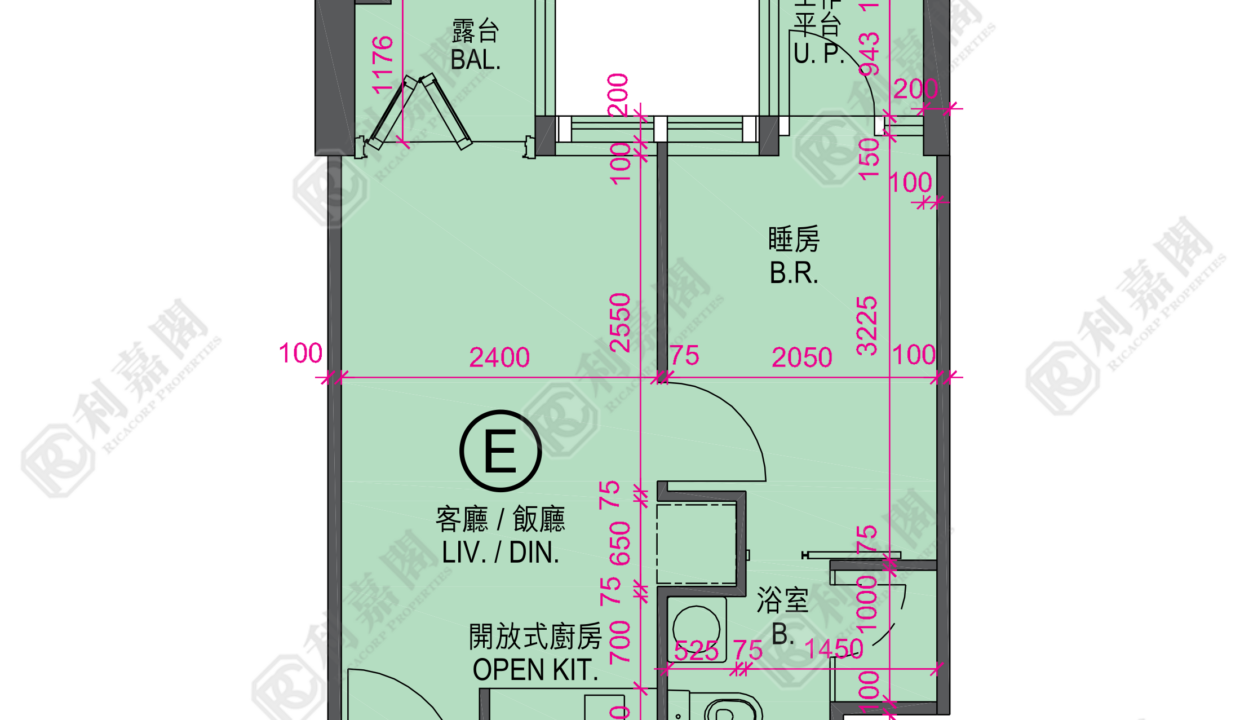 122357_2000_Ricacorp.png