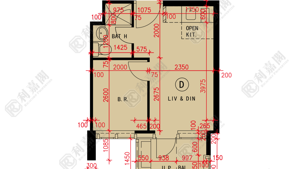 184569_2000_Ricacorp-1.png
