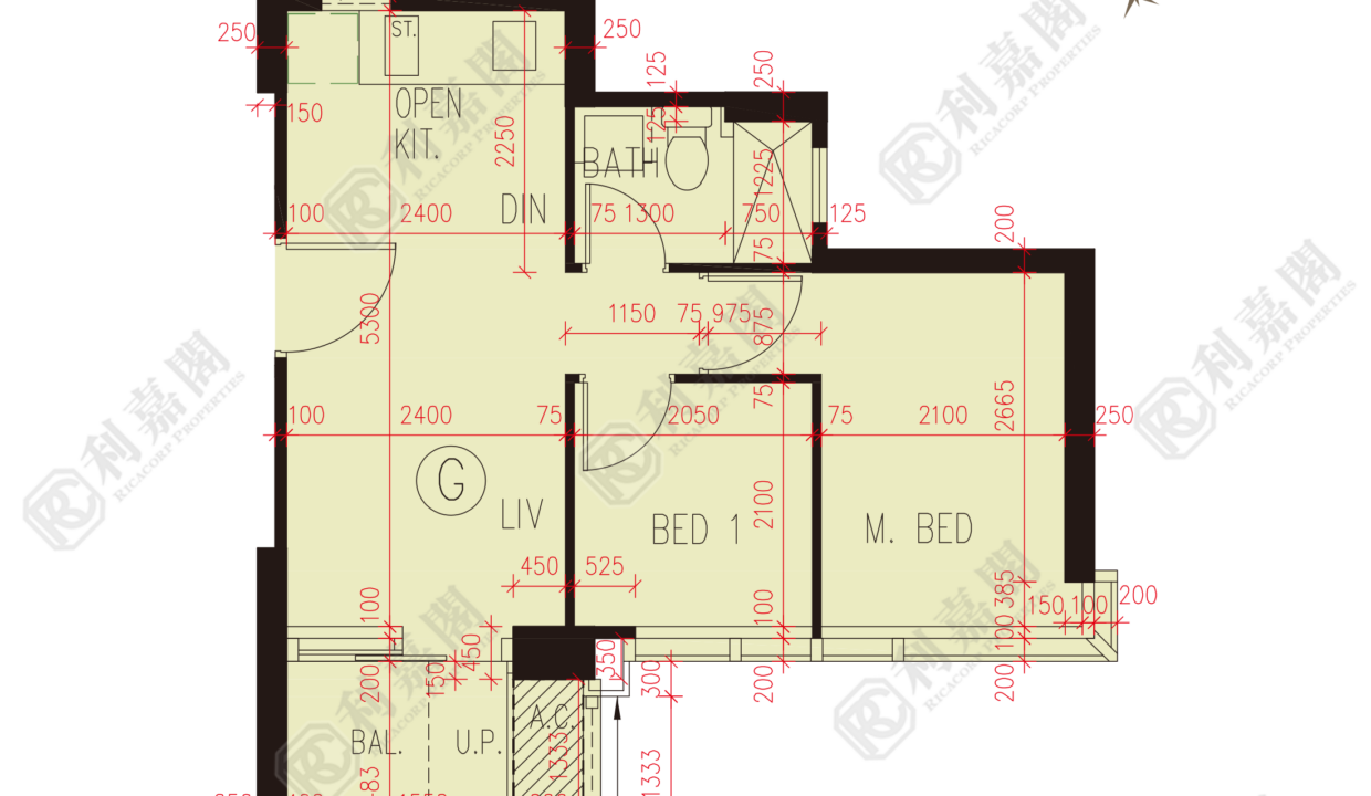 191123_2000_Ricacorp.png