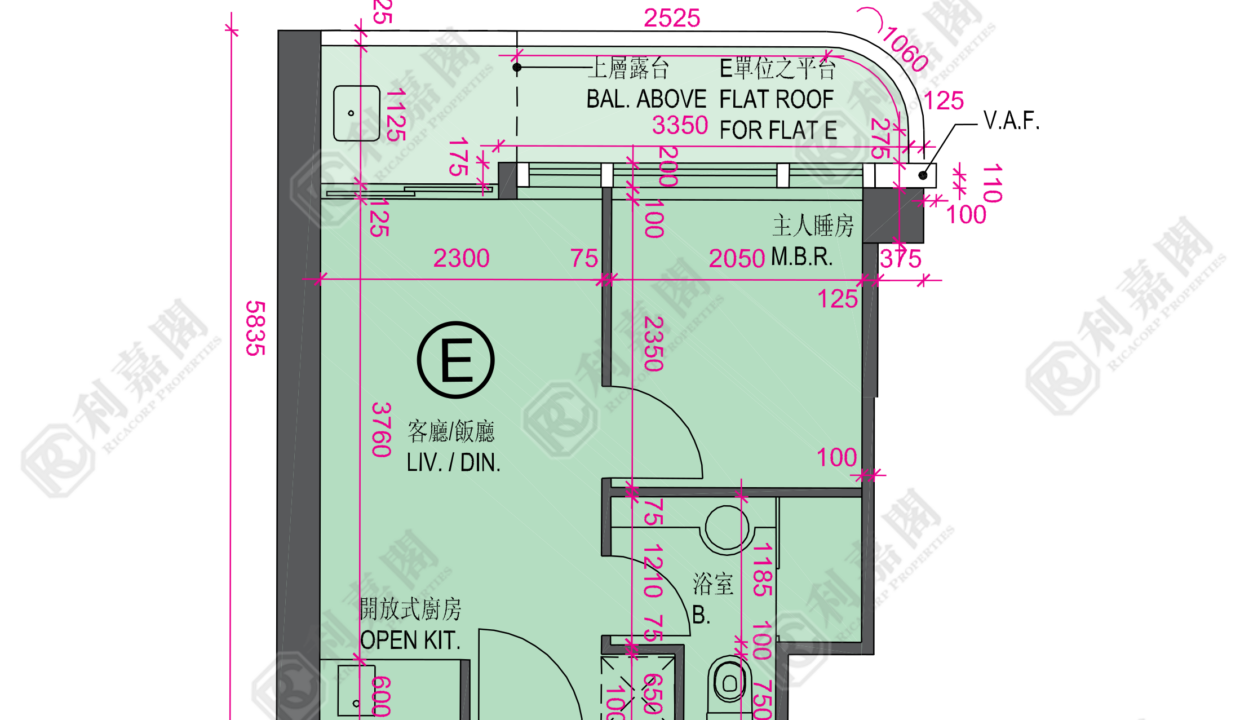 25427_2000_Ricacorp.png