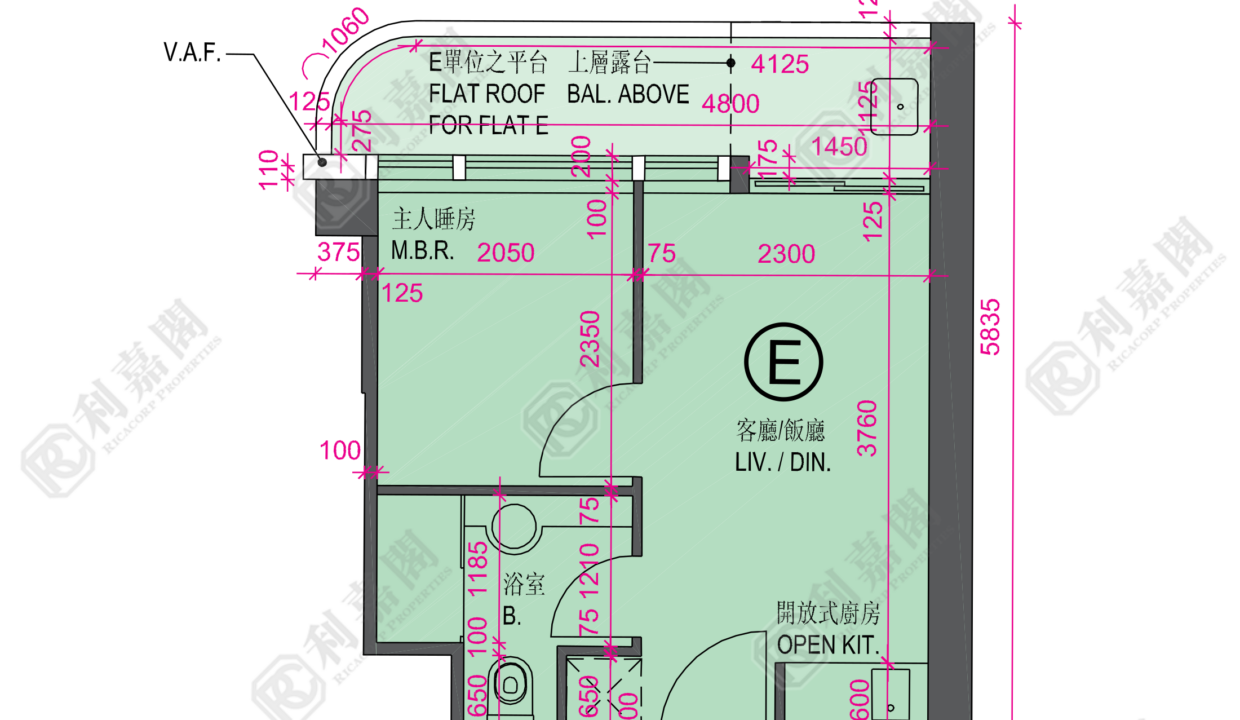 25438_2000_Ricacorp.png