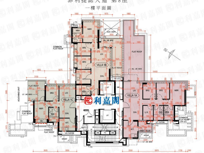爾巒 菲利提諾大道 8座 - 元朗屋網 28YuenLong.com