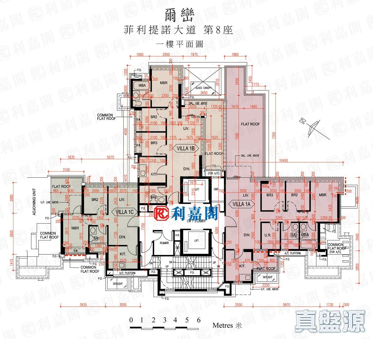 爾巒 菲利提諾大道 8座 - 元朗屋網 28YuenLong.com