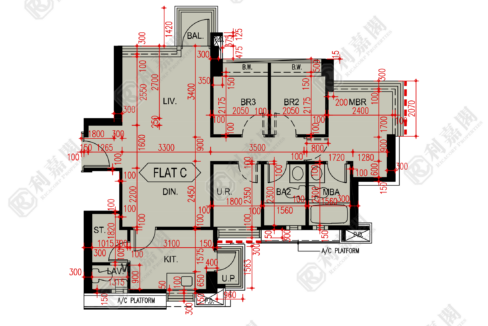 32563_2000_Ricacorp.png