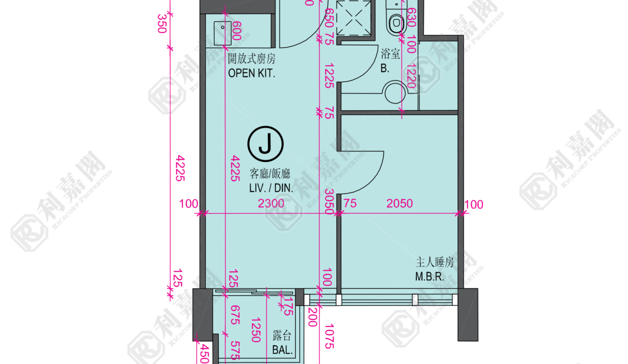 34142_2000_Ricacorp-2.png