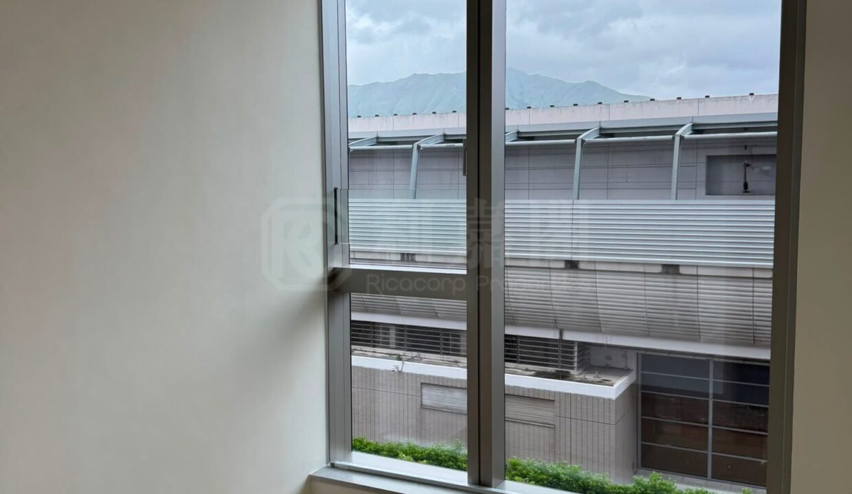 391a0e52-da10-4ded-a6df-8b29bef92ddc.jpeg