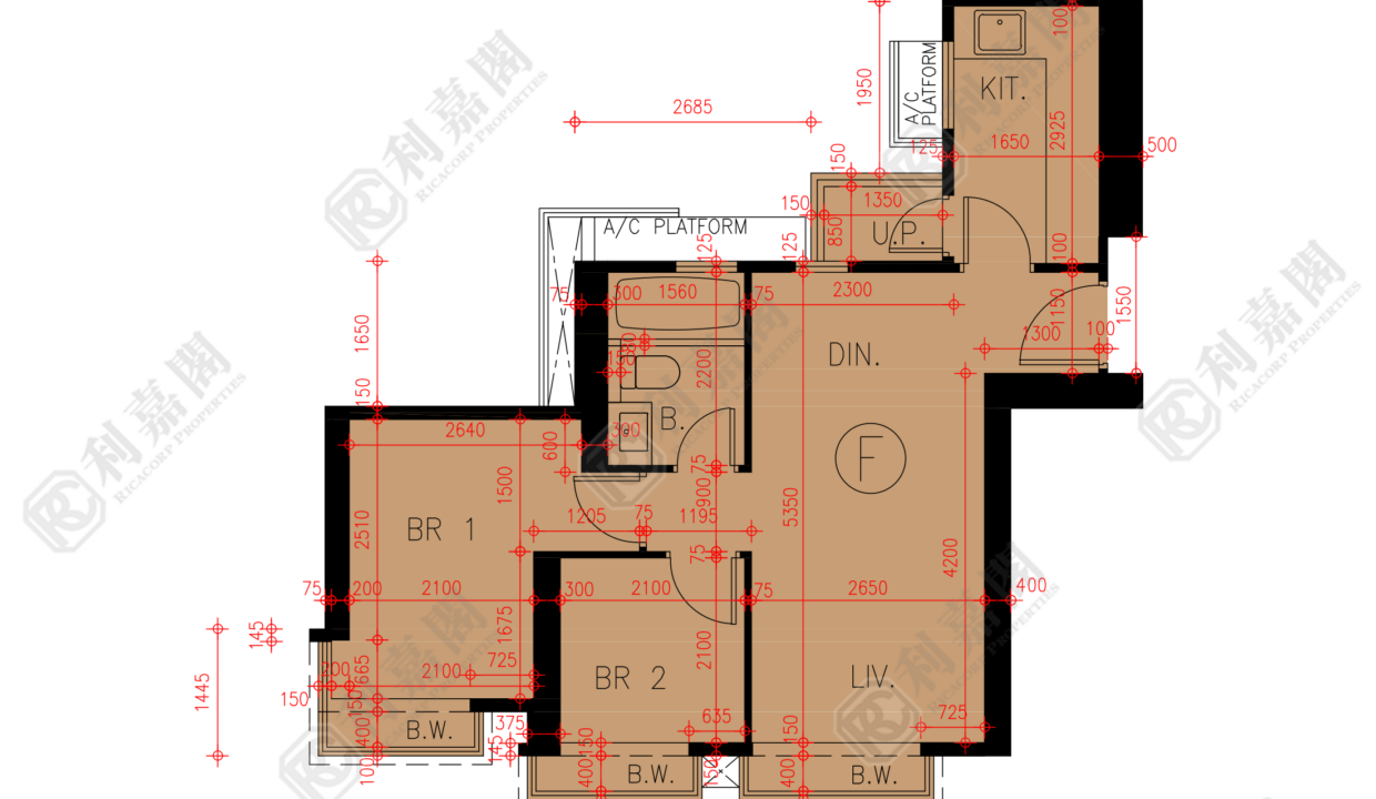 45621_2000_Ricacorp.png