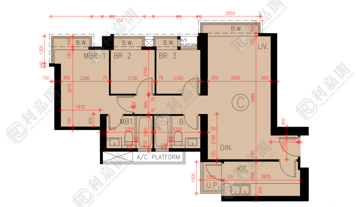 45746_2000_Ricacorp-1.png