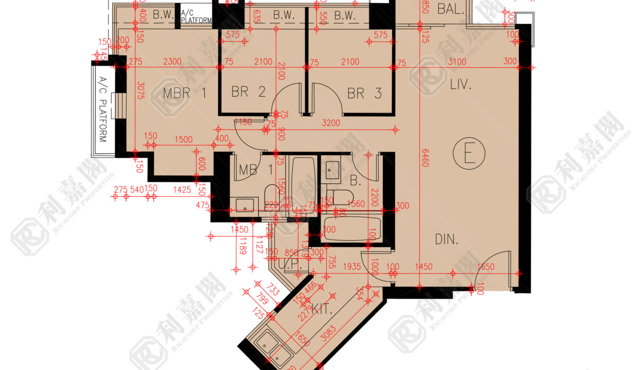 45816_2000_Ricacorp.png