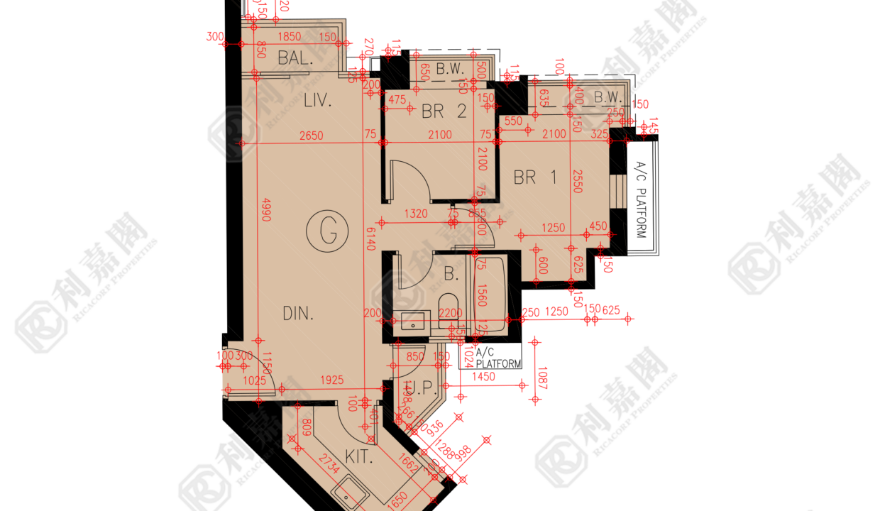 45830_2000_Ricacorp.png