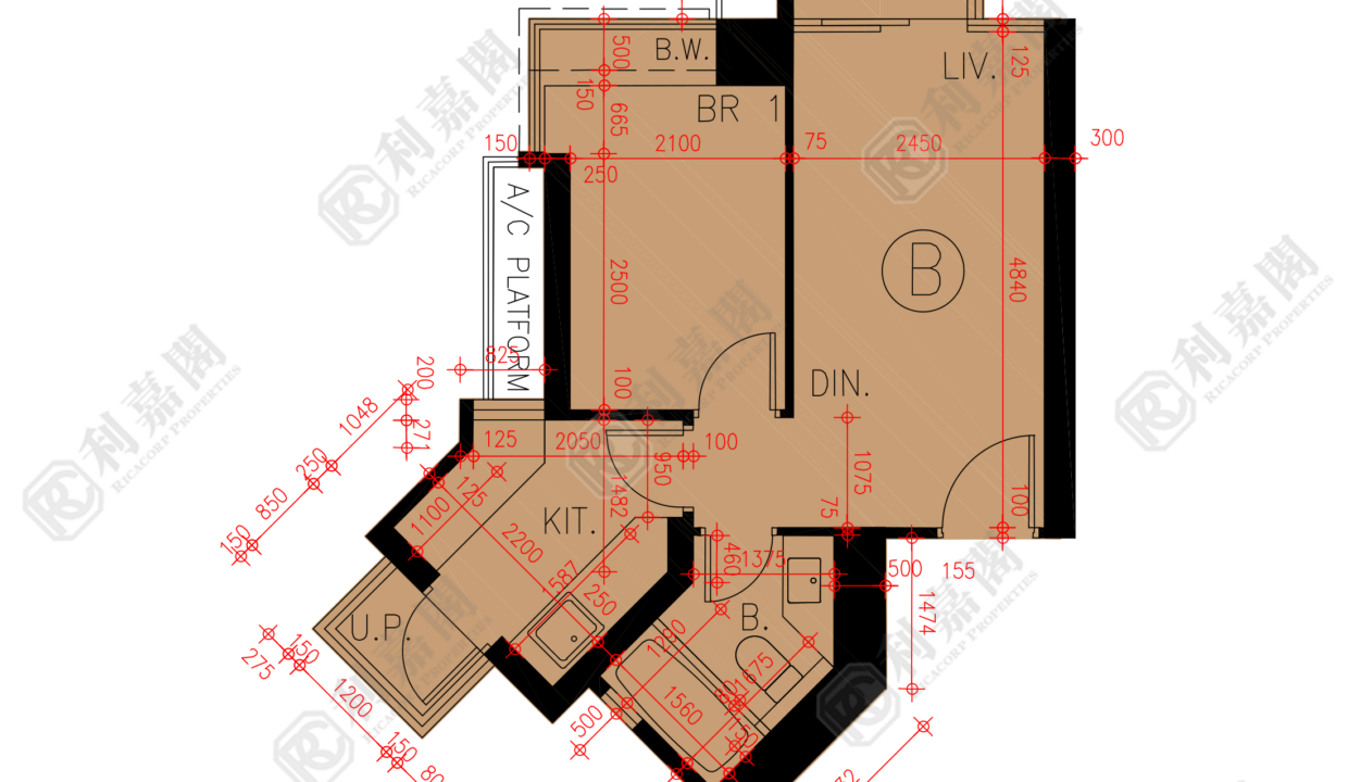 45894_2000_Ricacorp.png