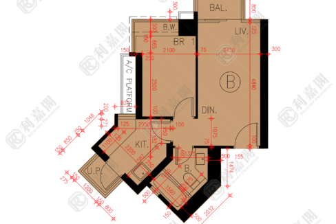 45894_2000_Ricacorp.png