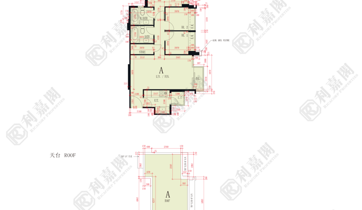 47622_2000_Ricacorp.png