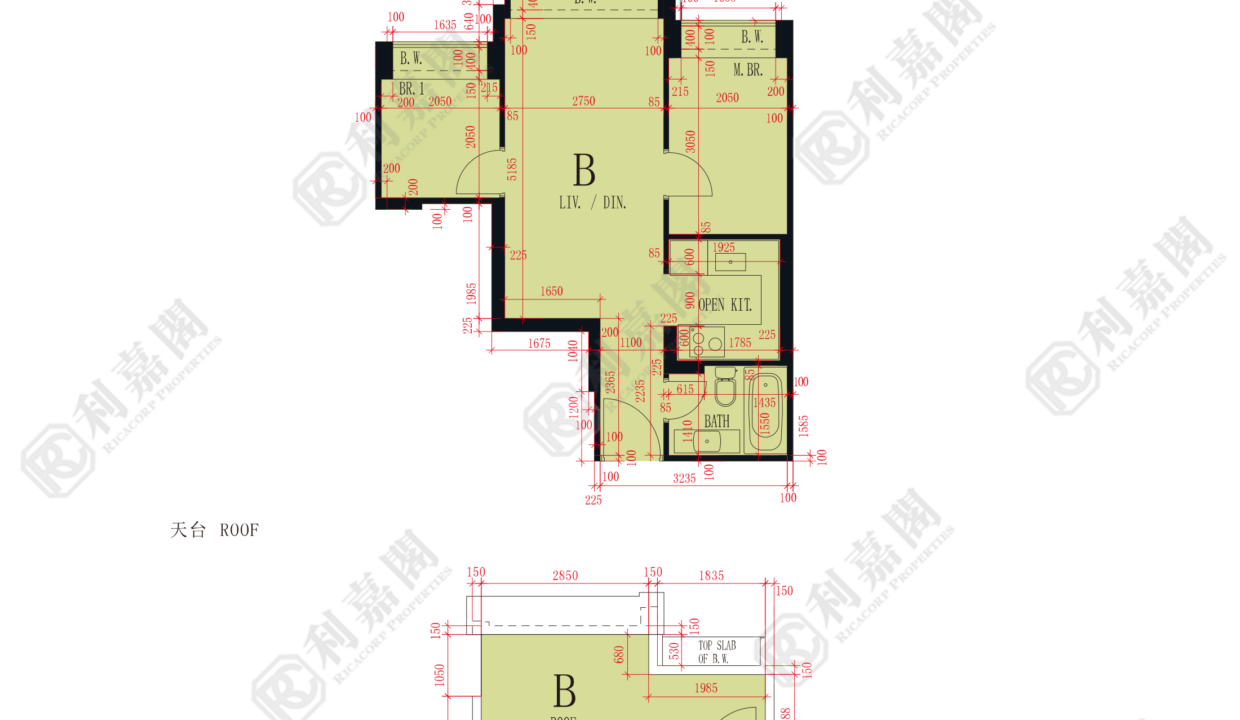 47624_2000_Ricacorp.png