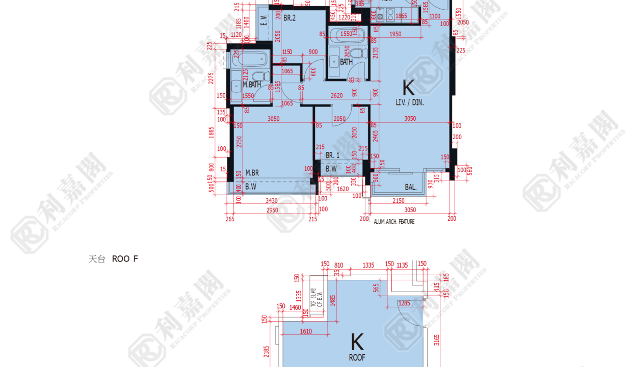 47659_2000_Ricacorp.png