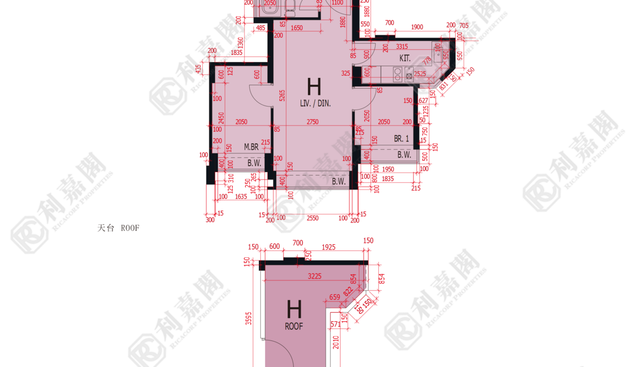 47675_2000_Ricacorp.png