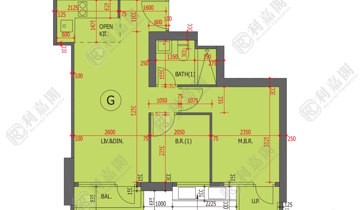 48902_2000_Ricacorp.png