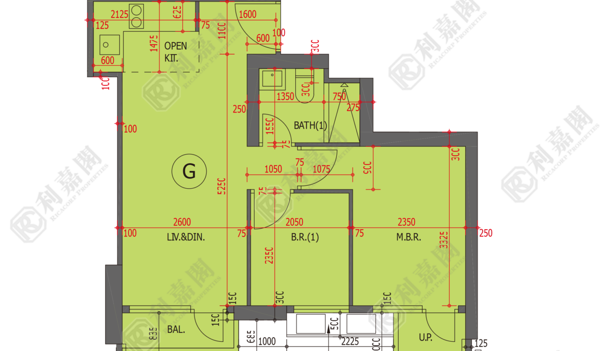 48931_2000_Ricacorp-1.png
