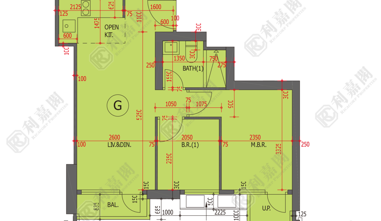 48932_2000_Ricacorp.png
