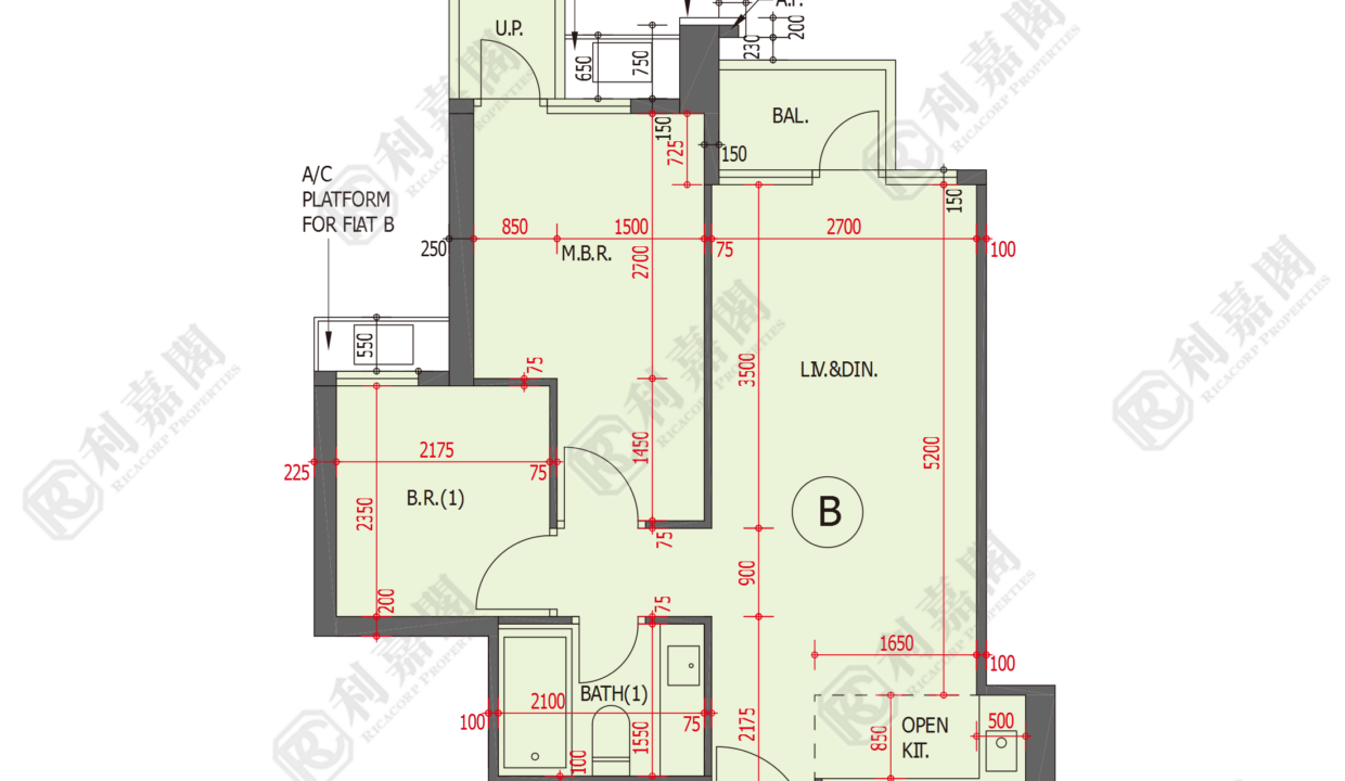 48985_2000_Ricacorp.png