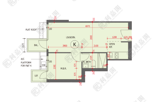 49022_2000_Ricacorp.png